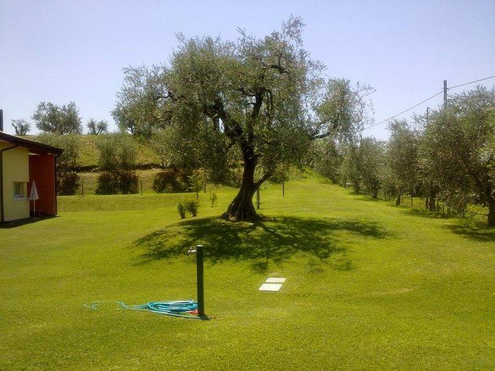 Appartamenti Tre Colline Bardolino Zewnętrze zdjęcie